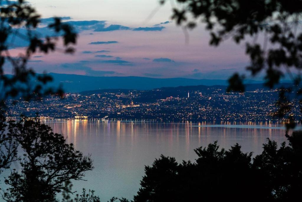 Le Garden - Ski - Vue Lac - Piscine - Parking - Evian - Thonon - Lugrin Eksteriør billede