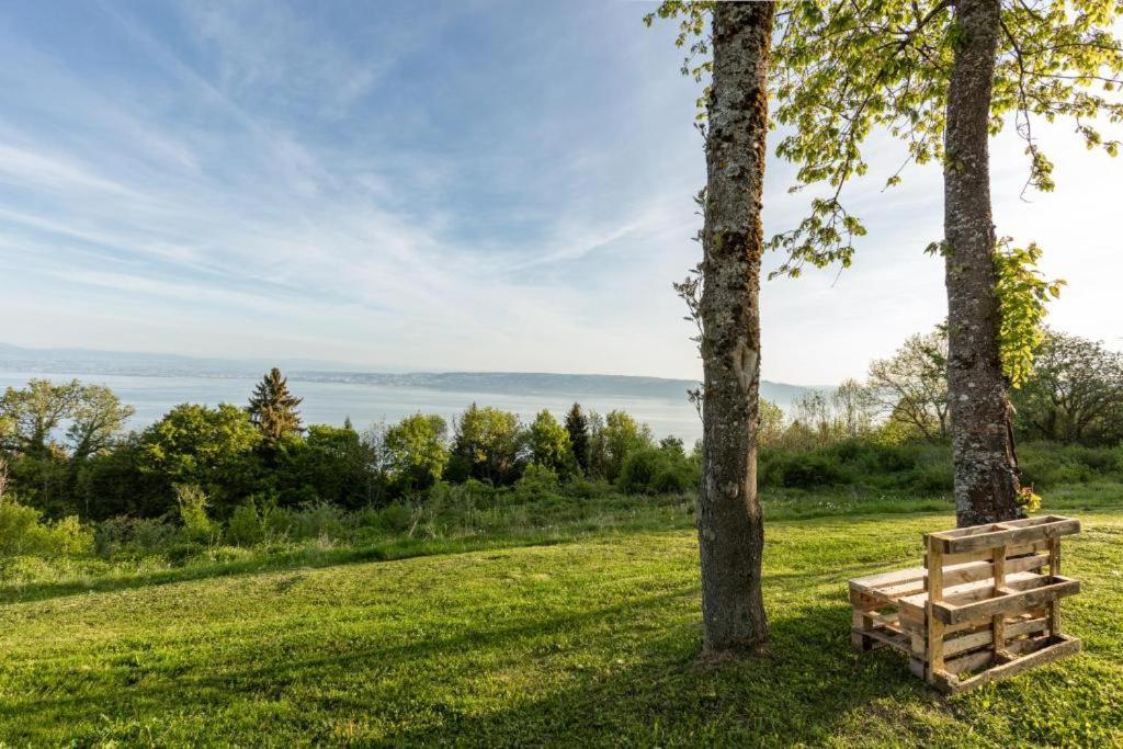 Le Garden - Ski - Vue Lac - Piscine - Parking - Evian - Thonon - Lugrin Eksteriør billede